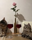 Read Between the Wines