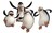 The Madagascar Penguins
