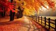 It's Fall