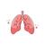 Respiratory Bookclub