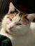 Non Degree Tyson: Meve's Reads