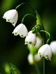 where winter meets spring
