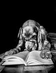 FutureReads
