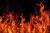Slow Burn Book Club (Fire Wives)