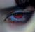 BLOOD ROSE