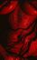 Horror & Thriller Erotica Lovers