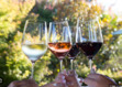 Wine Club with a Book Problem