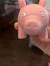 The Eugene the Pig reading club
