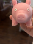 The Eugene the Pig reading club