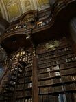 The Enchanted Library