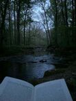 The Witches of Goodreads