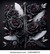 Dark Rose and Sword Bookclub