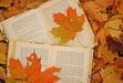 。:+* Once Upon A Book Club *+:。