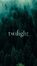 Twilight Lovers