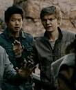 Newt and Minho lovers