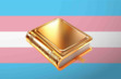 T4T: Trans Reading Trans