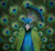 Peacock Committee Book Club