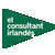 El consultant irlandés