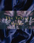The Velvet Spine