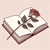 The Enchanted Library 