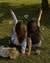 7089730