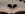 7275892