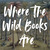 Where The Wild Books Are