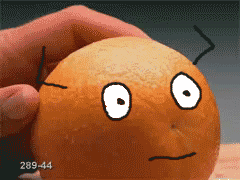 funny gifs