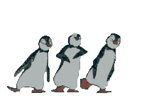 penguin animated gifs