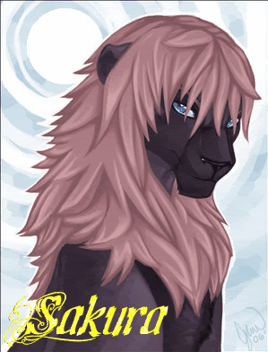 I DID NOT DRAW THIS IMAGE!! All I did was put the name on...