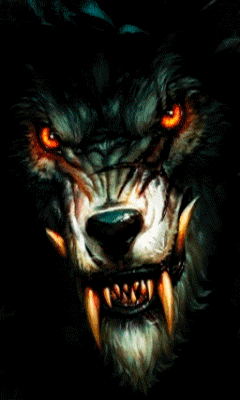 Lobo enfurecido Pictures, Images and Photos