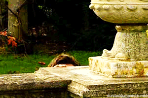 photo f1f1234e.gif