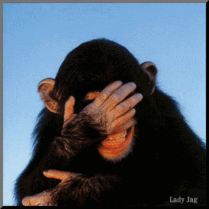 Laughing gif photo: Laughing Chimp Laughing-chimp-gif-animation.gif