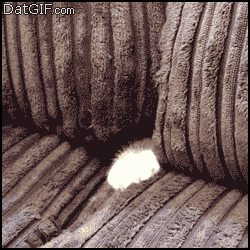 photo Is_safe_is_not_zpsc6eba84e.gif