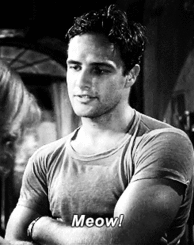  photo tumblr_ltjs7ipP9q1qbdlroo1_250_zpsbe773cbe.gif