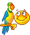 parrot smiley photo: parrot bird Smiley-msncom-Animaux-14420.gif
