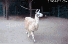 I.AM.FABULOUS!