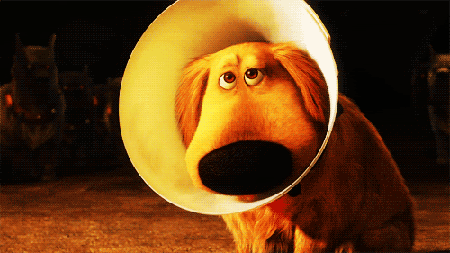 photo cone_zps0715fd3f.gif