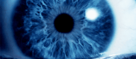 photo tumblr_lxlrttyWi41qebfu1o1_500_zpsc5fea1ae.gif