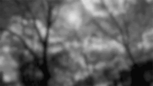  photo tumblr_lf4zogkFeT1qg34vio1_500_zps6261f268.gif