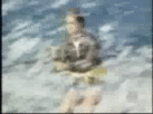 jump shark photo: 6fabcbd4e236968b0704509acefb6d56.gif