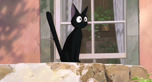 photo tumblr_inline_mj9d9sarzD1qz4rgp_zps24201d45.gif