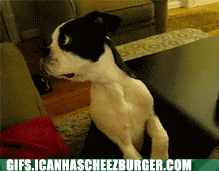 photo download_zpsaea69933.gif