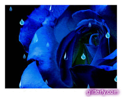 Glitter Photos