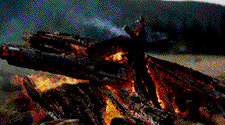 Campfire gif Pictures, Images and Photos