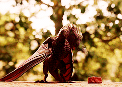 game of thrones photo: Game of Thrones tumblr_mnaohvL5zr1qax2v3o2_250_zps1dd2a7f9.gif