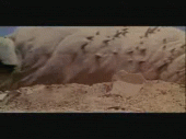 Tremors worms photo: tremors tremors-a.gif