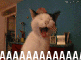 funny gifs