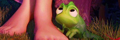 Image Hosted by ImageShack.us