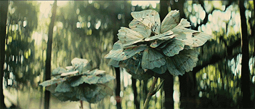  photo tumblr_maoh0hhgOm1qdl8ibo2_500_zpsc5a30901.gif